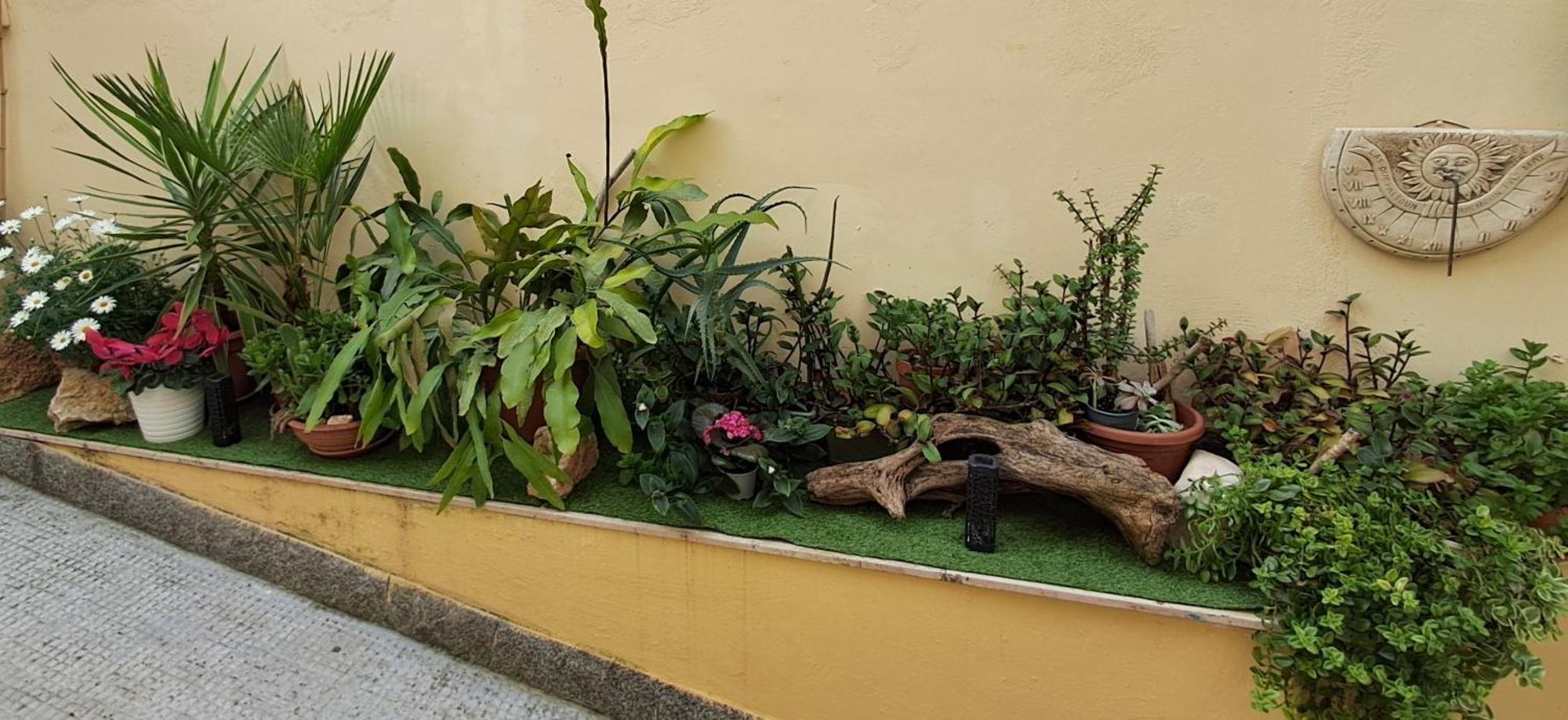 Villa La Dimora Segreta Bitetto Esterno foto
